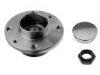 轮毂轴承单元 Wheel Hub Bearing:71737189